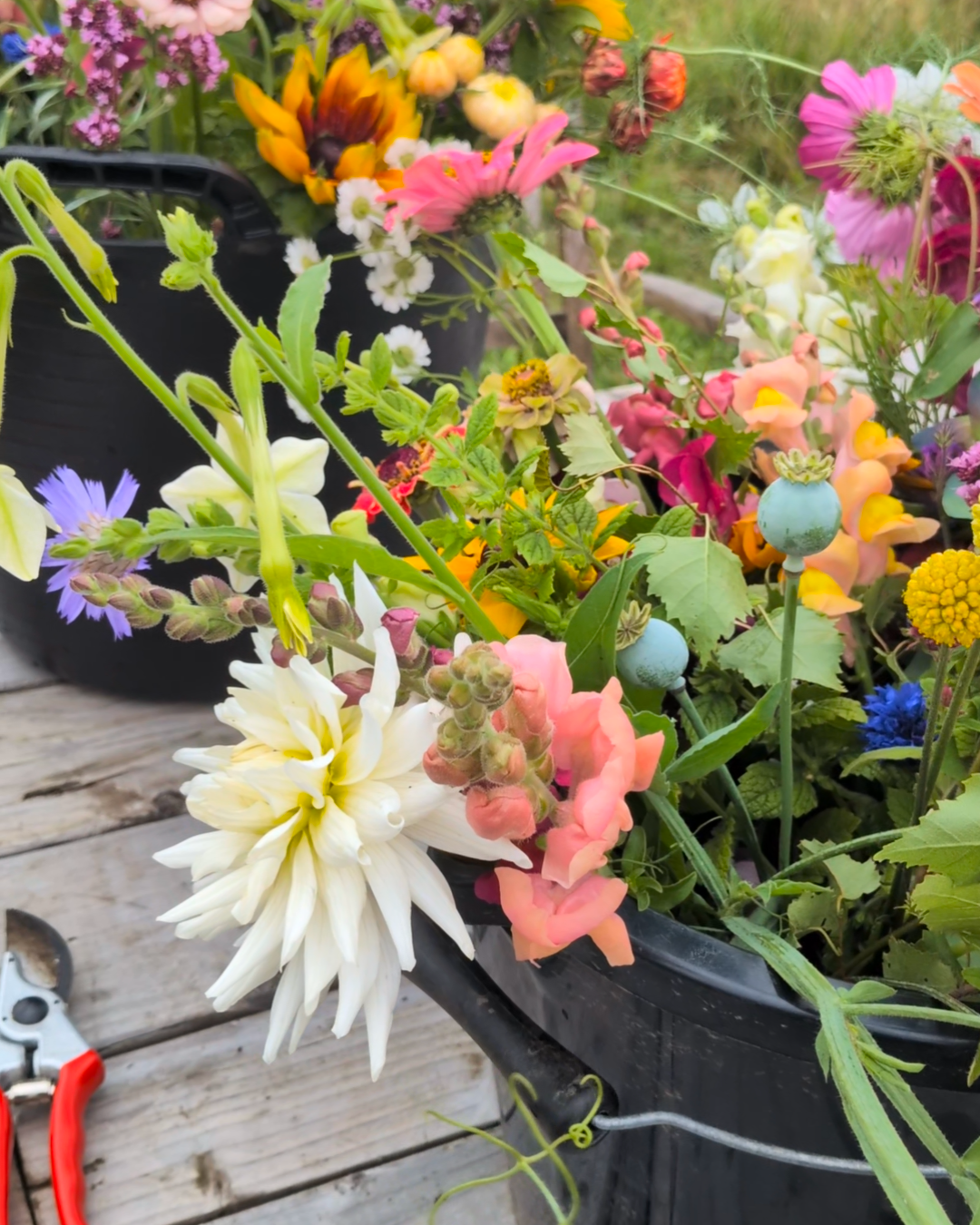 DIY arrangers bucket