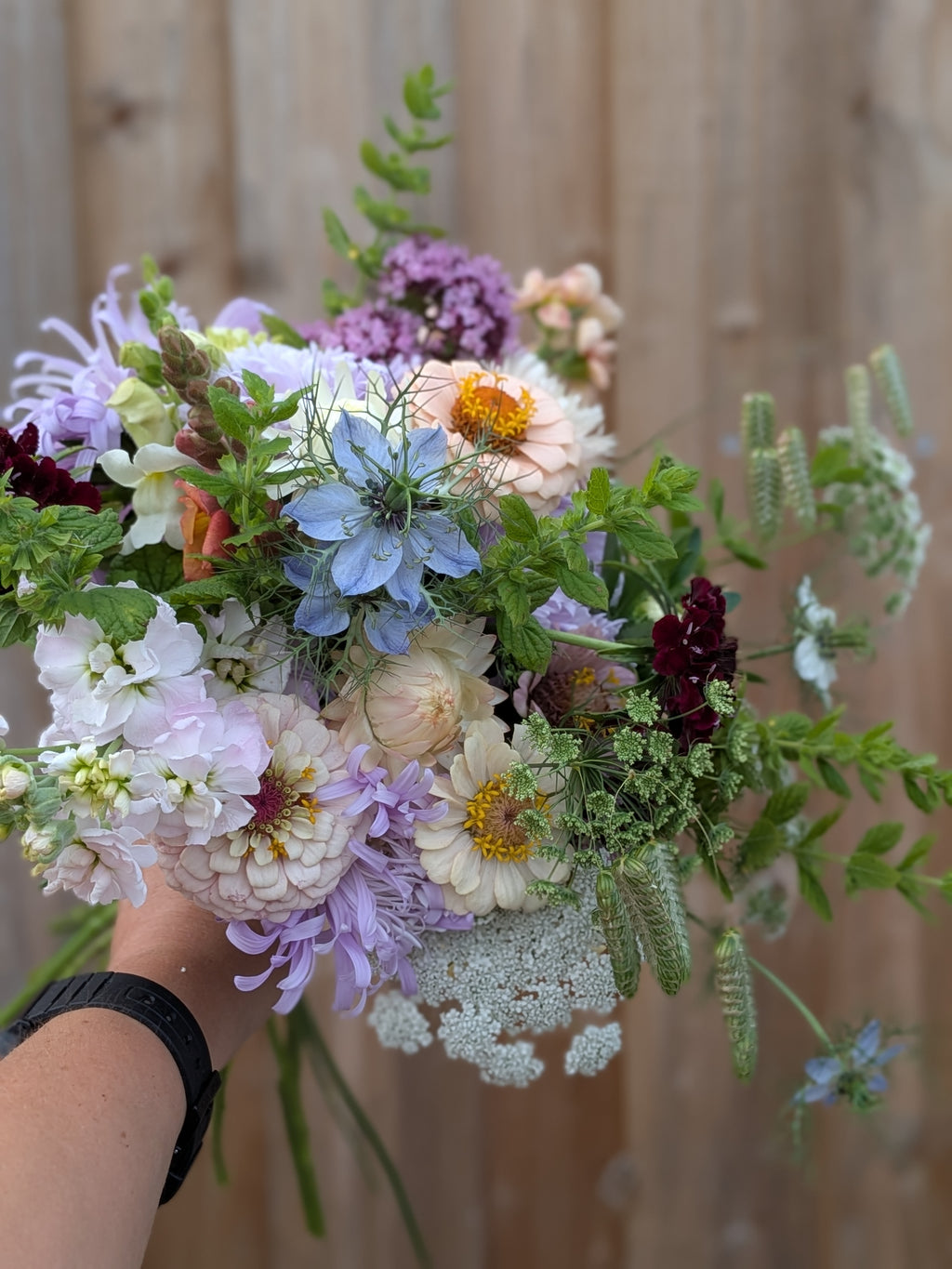 A Celebration of Summer Flowers