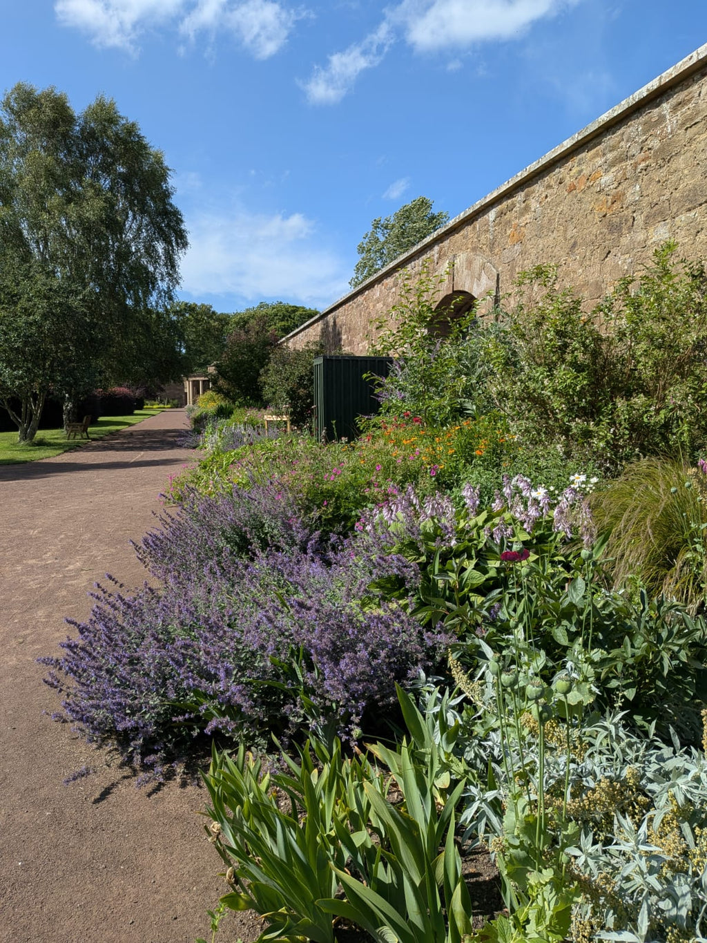 A Celebration of Summer Flowers